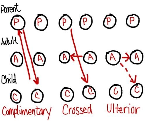 undefined Transakcije