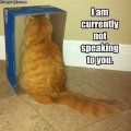 Not speaking to u