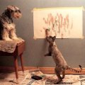 cat paints